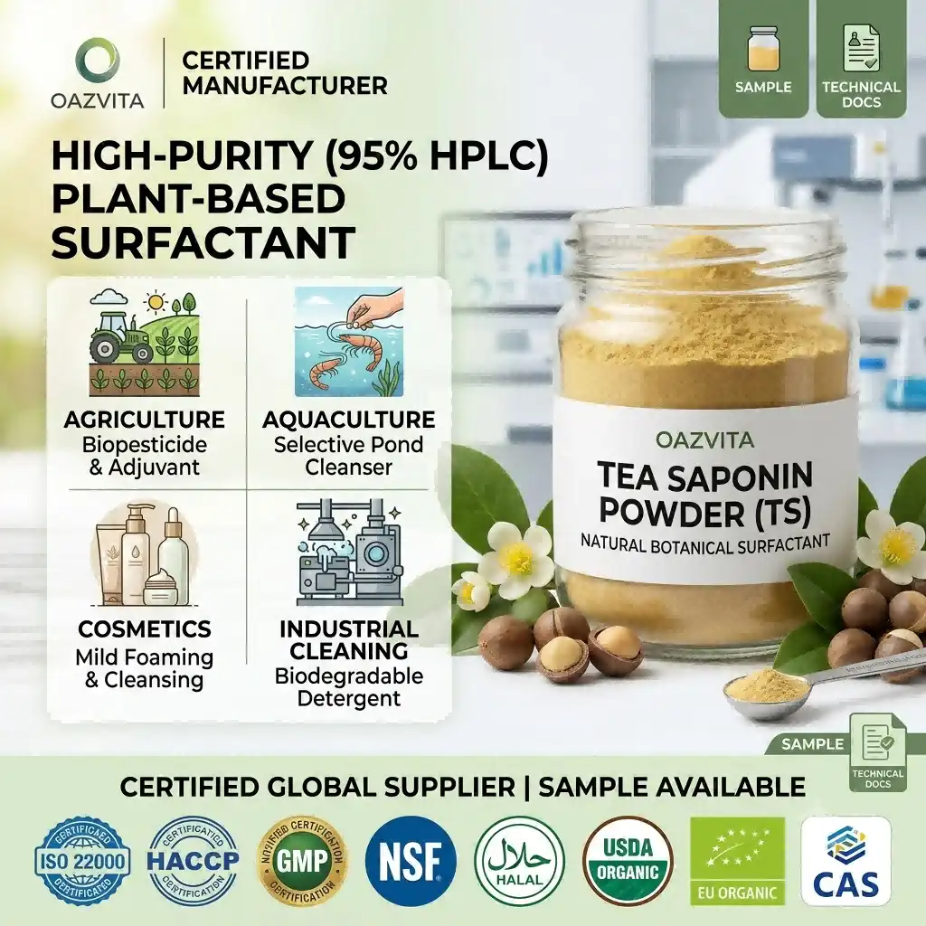 Tea Saponin Powder: What It Is and What It Does Tea Saponin Powder: What It Is and What It Does